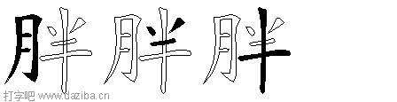 胖的五笔拆分图,胖的五笔字根表