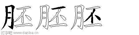 胚的五笔拆分图,胚的五笔字根表