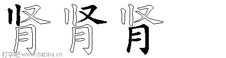 肾的五笔拆分图,肾的五笔字根表