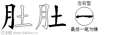 肚的五笔拆分图,肚的五笔字根表