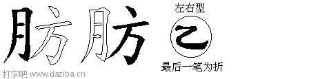 肪的五笔拆分图,肪的五笔字根表