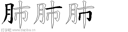 肺的五笔拆分图,肺的五笔字根表