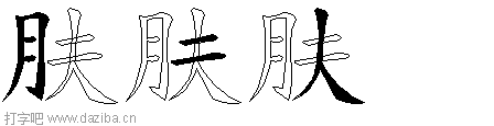 肤的五笔拆分图,肤的五笔字根表